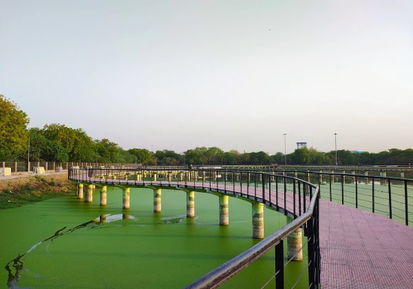 Sector Lake noida1-min
