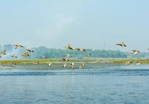 Sector Lake noida2-min