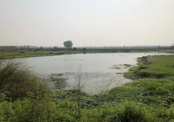 snu lake greater noida3-min